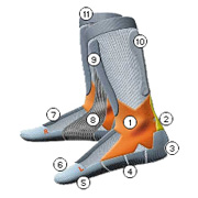 Skiing-Shema